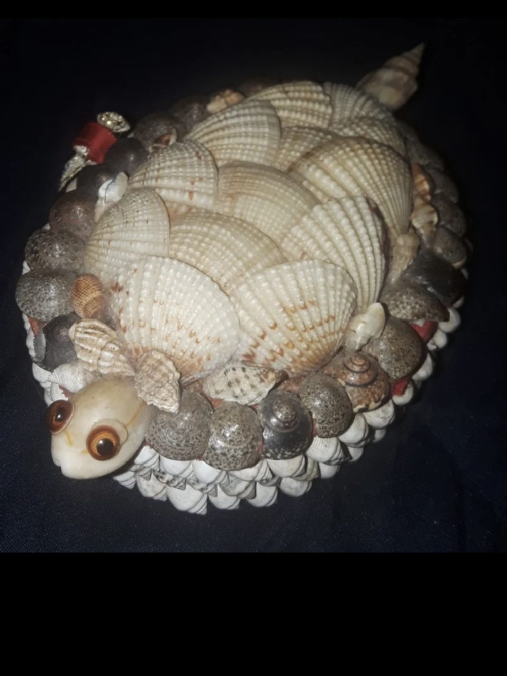Handmade Turtle Seashells Jewelry Box
